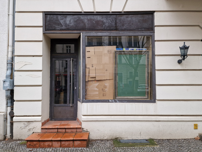 Galaxy S22 Ultra (Bild: Tobias Költzsch/Golem.de)